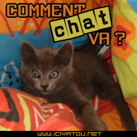 sa va ??
