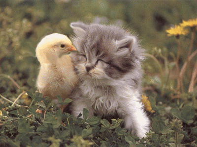 gros bisou